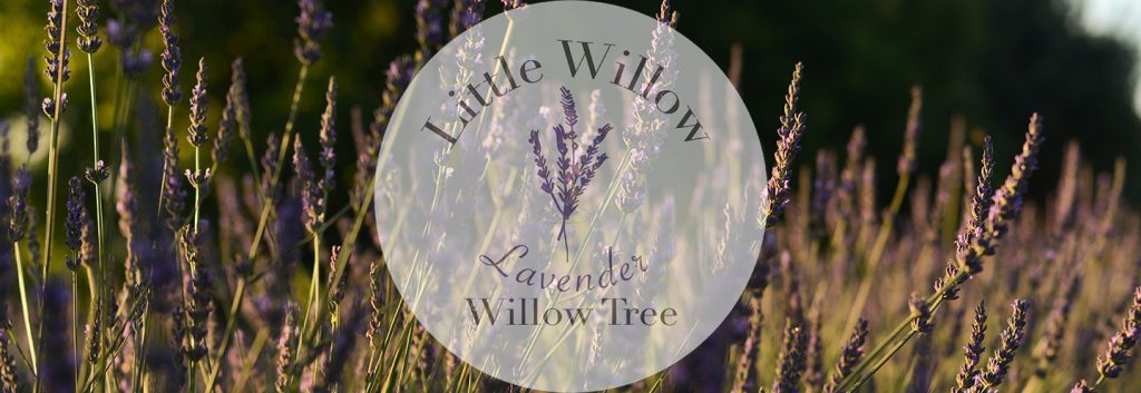 Little Willow Lavender