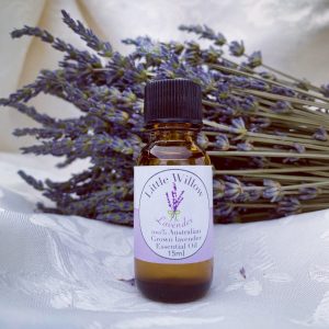 lavender oil little willow lavender