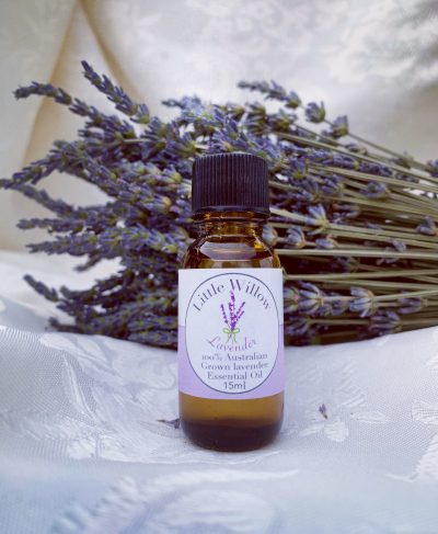 lavender oil little willow lavender